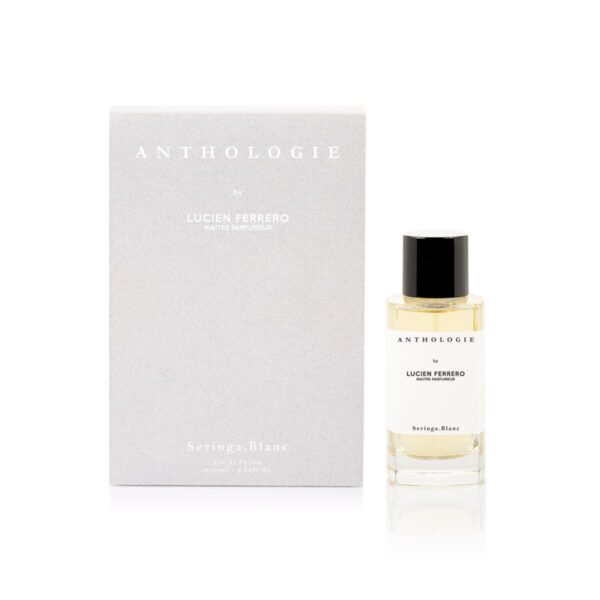 Seringa Blanc - immagine 2